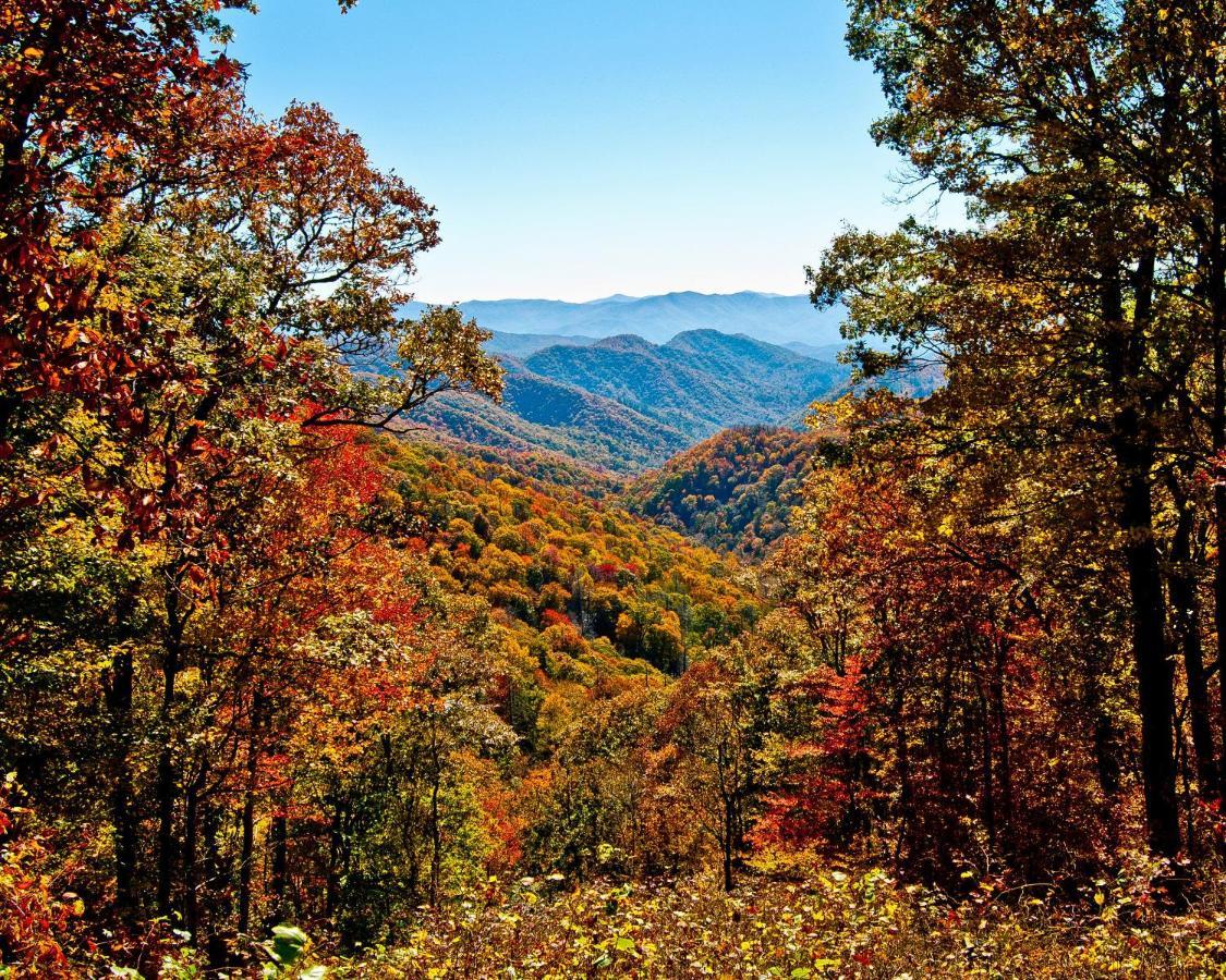 Great Expectations, 3 Bedrooms, Fireplace, Pool Table, Hot Tub, Sleeps 10 Gatlinburg Eksteriør bilde